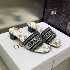 Christian Dior Slippers